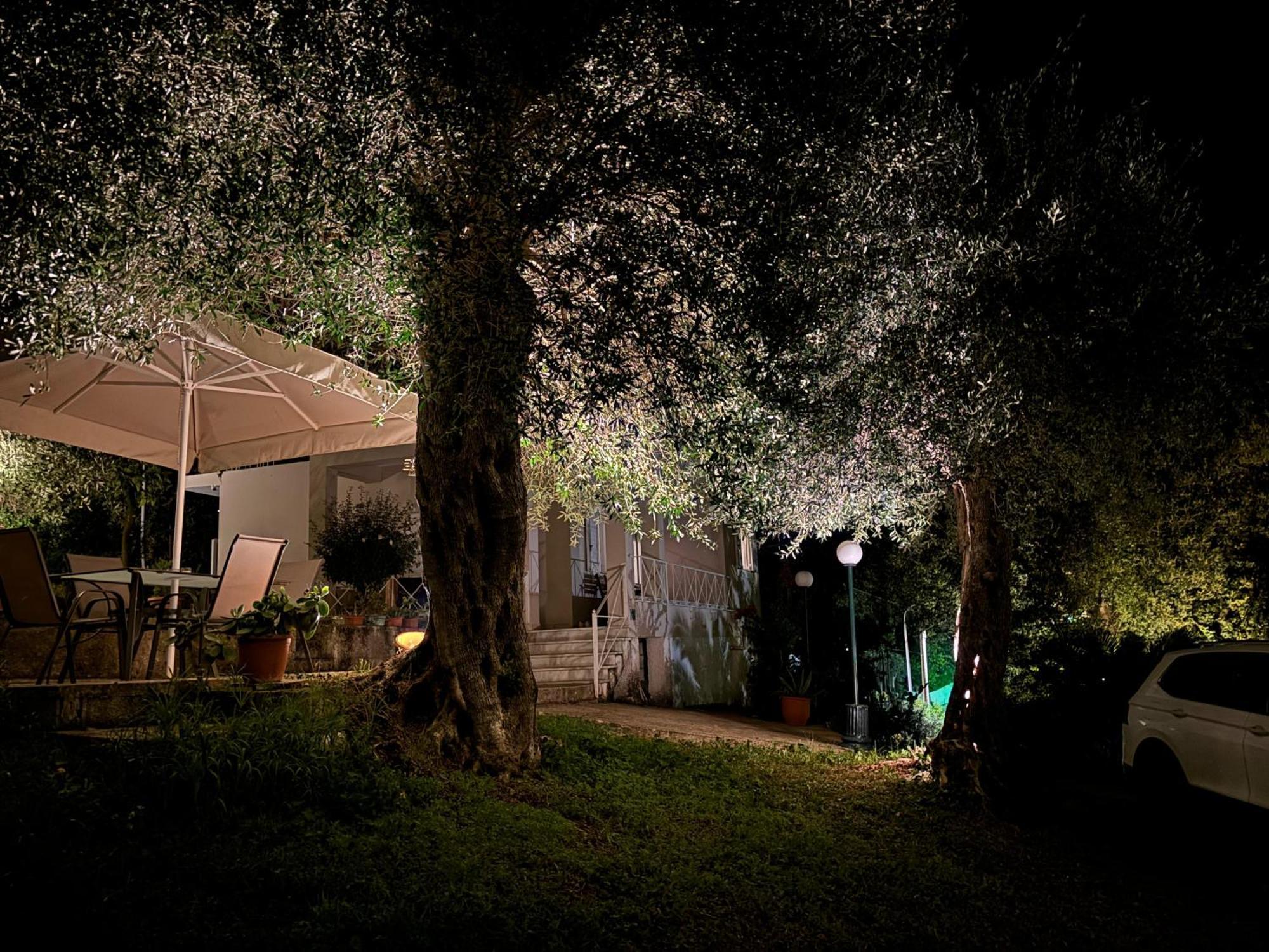 Casa Sofia Villa Dassia  Buitenkant foto